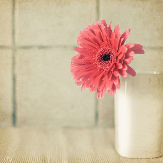 ���x����LOMO�L(f��ng)�񺆆�Ư���ĔzӰ��Ʒ