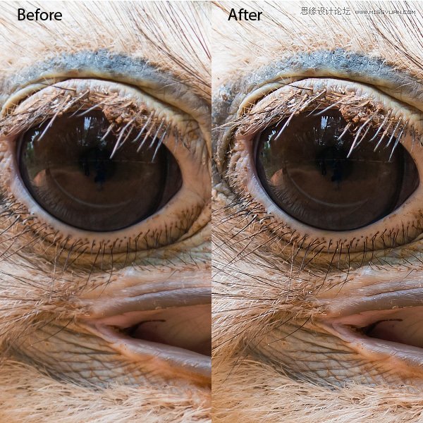 Photoshop技巧:CC版本的最全總結(jié)