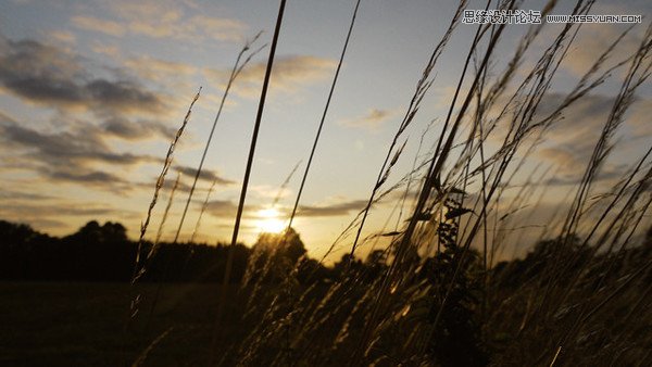 日落構圖之不同角度拍出美麗夕景