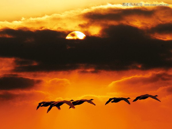 日落構圖之不同角度拍出美麗夕景