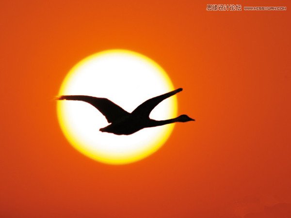 日落構圖之不同角度拍出美麗夕景