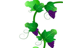 CorelDraw�L�Ʊ����һ�������ѽ̳�