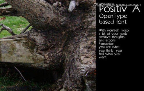 40���Є�������M���LӢ�����w�ز�