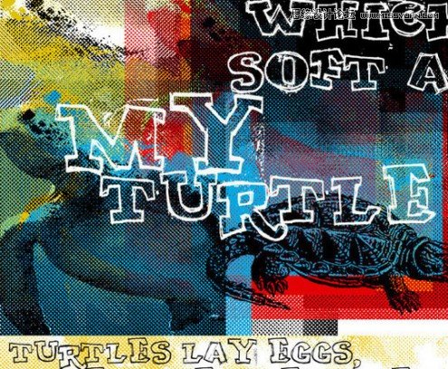 40���Є�������M���LӢ�����w�ز�