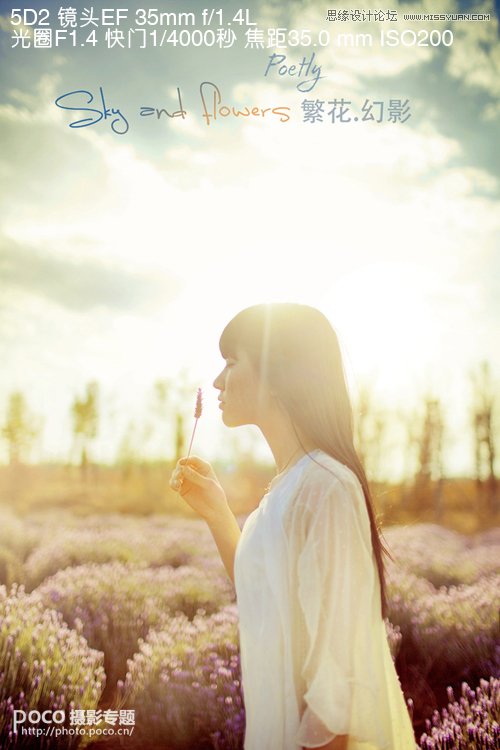 �zӰ�󎟽�������������ļ�������