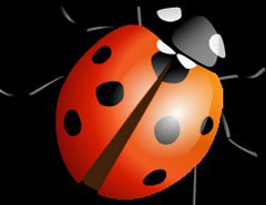 CorelDraw�L�Ʊ���Ư��������ư�x