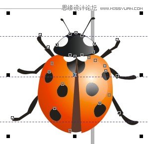 CorelDraw繪制逼真漂亮的七星瓢蟲