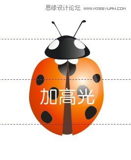 CorelDraw繪制逼真漂亮的七星瓢蟲