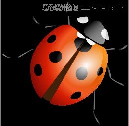 CorelDraw繪制逼真漂亮的七星瓢蟲