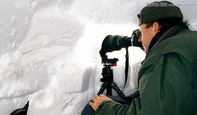 簡單幾招拍出雪地好風光攝影作品