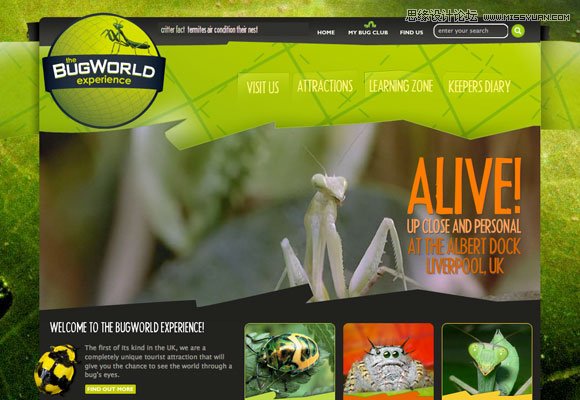 網頁設計配色剖析之綠色使用技巧