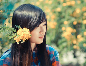 Ԕ�������zӰ��Ʒ�еĘ��D���ɽ̳�