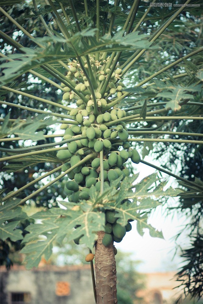 Ԕ�������zӰ��Ʒ�еĘ��D���ɽ̳�