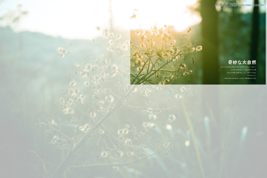 Ԕ�������zӰ��Ʒ�еĘ��D���ɽ̳�