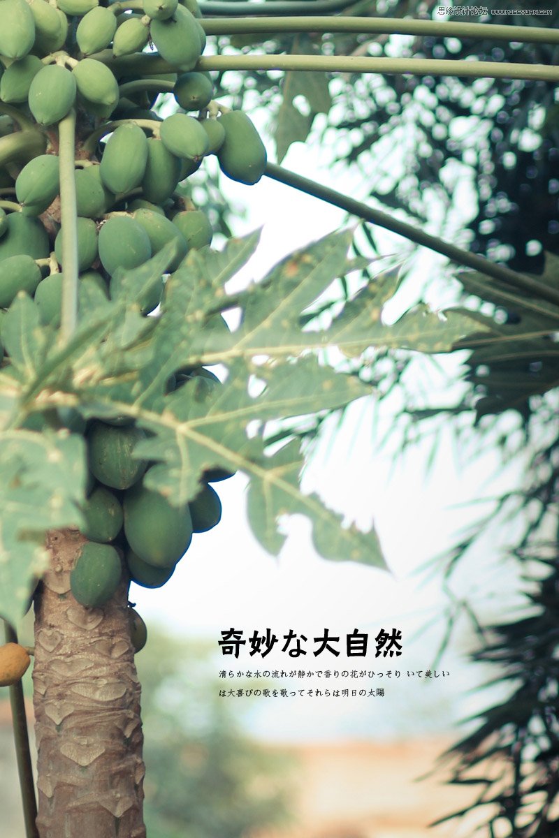 Ԕ�������zӰ��Ʒ�еĘ��D���ɽ̳�