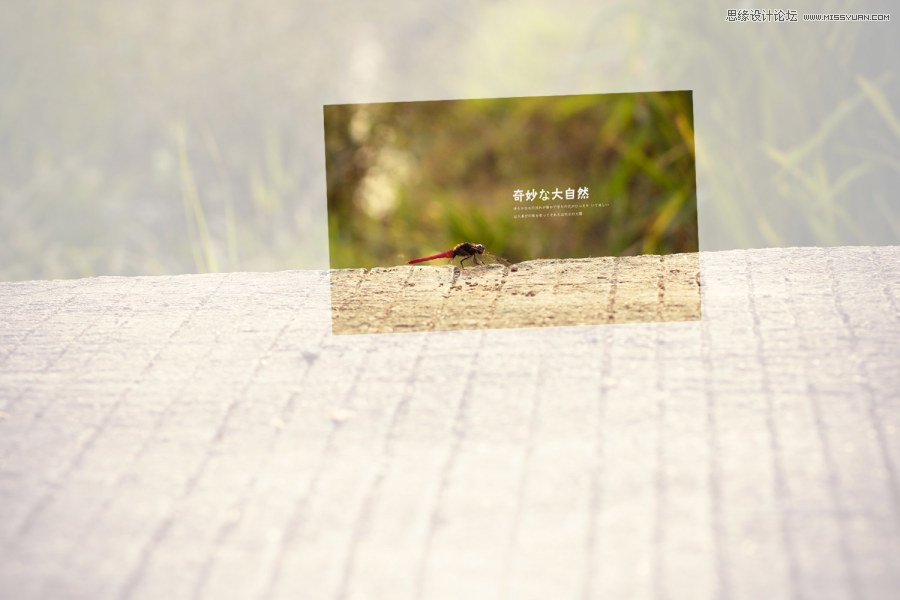 Ԕ�������zӰ��Ʒ�еĘ��D���ɽ̳�