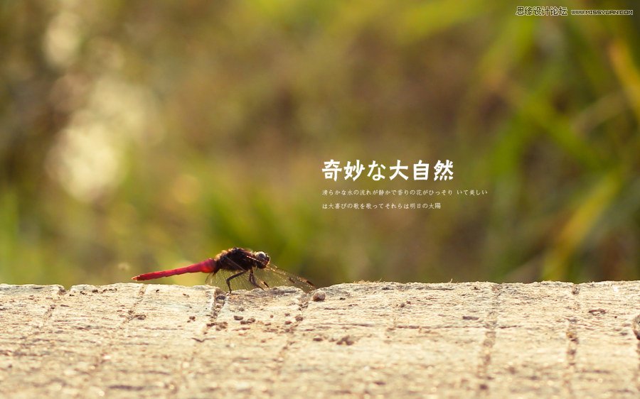 Ԕ�������zӰ��Ʒ�еĘ��D���ɽ̳�