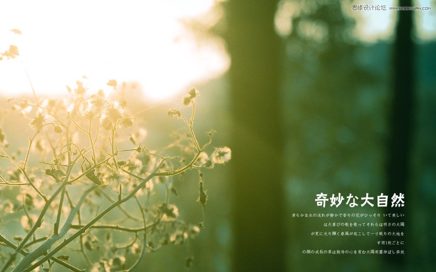 Ԕ�������zӰ��Ʒ�еĘ��D���ɽ̳�