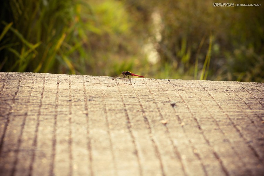 Ԕ�������zӰ��Ʒ�еĘ��D���ɽ̳�