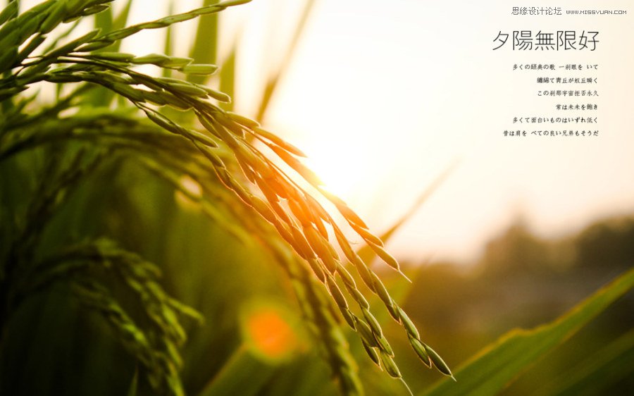 Ԕ�������zӰ��Ʒ�еĘ��D���ɽ̳�