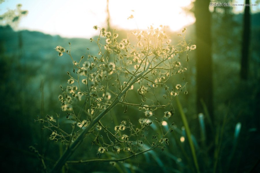 Ԕ�������zӰ��Ʒ�еĘ��D���ɽ̳�