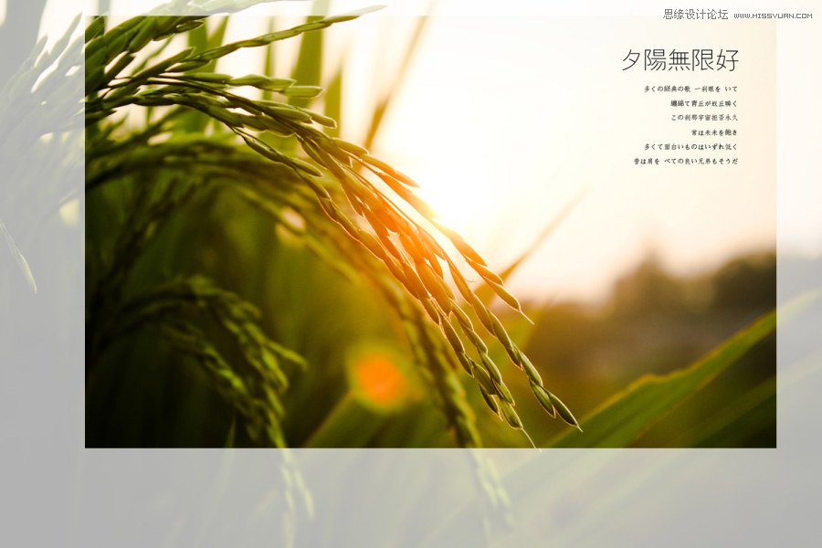 Ԕ�������zӰ��Ʒ�еĘ��D���ɽ̳�