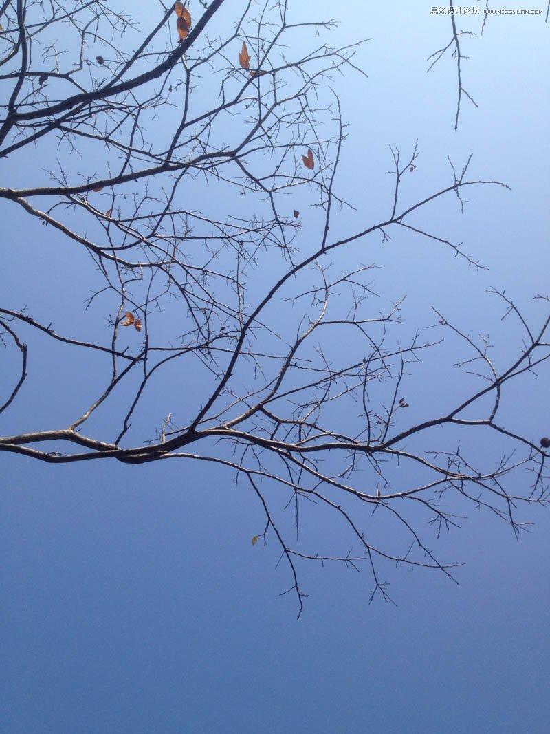 �\Մ����ĳ�һ���̈́e�˲�һ�ӵ���Ƭ