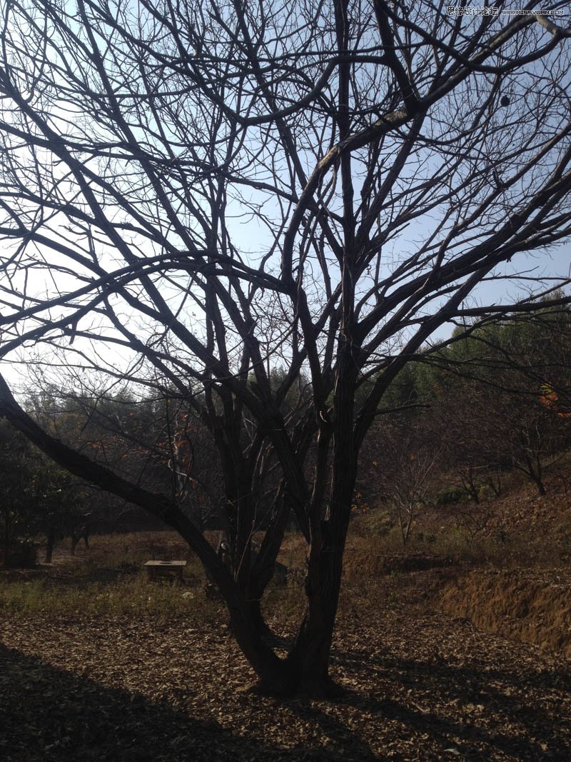 �\Մ����ĳ�һ���̈́e�˲�һ�ӵ���Ƭ