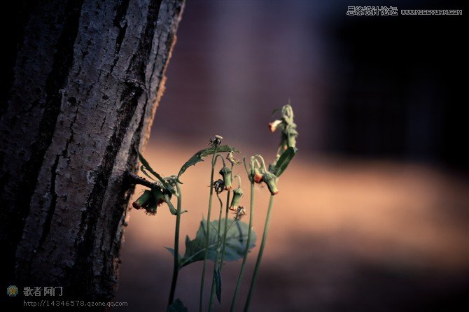 �\Մ����ĳ�һ���̈́e�˲�һ�ӵ���Ƭ