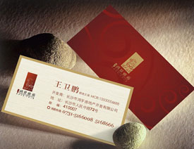 ������Է���خaVI�����OӋ���p