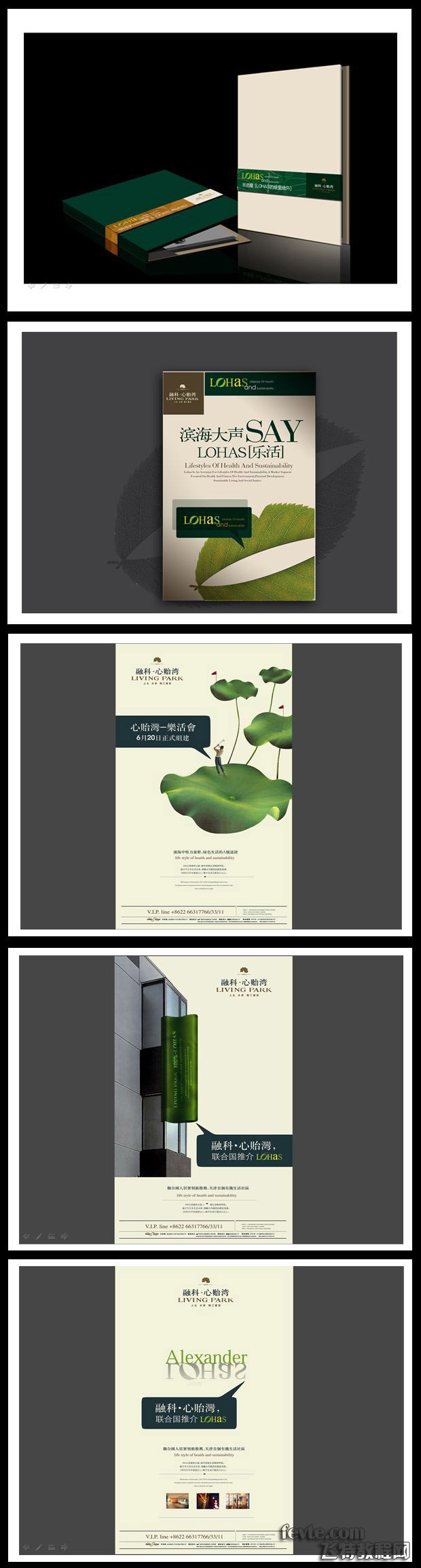 �ڿƳǵخa�V���OӋ���p