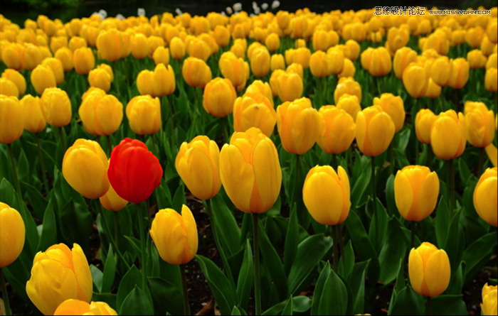 運用視覺表現建立網頁的信息層級