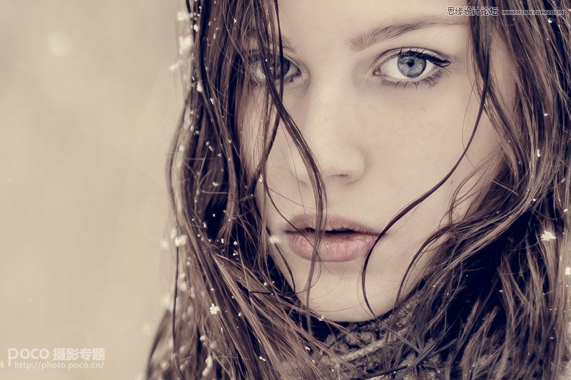 13�����������Ĕz�؂�ĔzӰ����