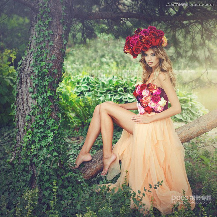 13�����������Ĕz�؂�ĔzӰ����