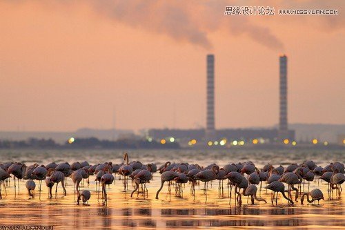 詳細解析霧霾天室外拍攝小技巧
