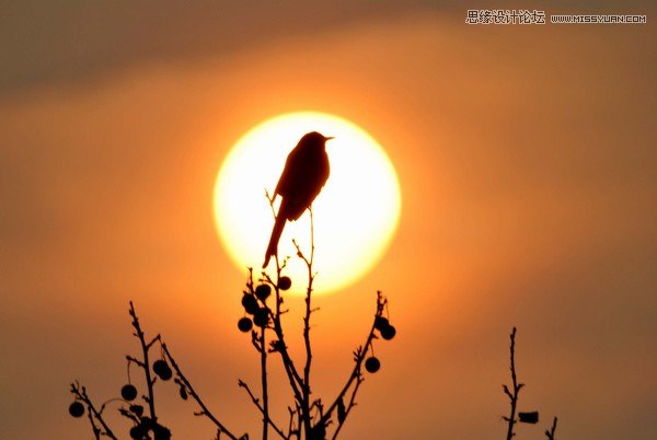 詳細解析霧霾天室外拍攝小技巧