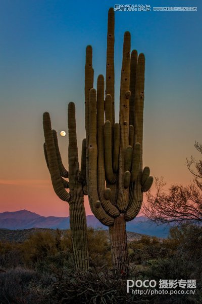 5個攝影方法助您打造更好的風光大片