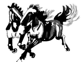 Flash�L��Ư�����Ї��L�E�R�D�̳�