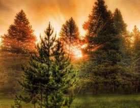 7��V���ߎ����xȡ������ɫ