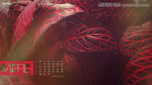 ���x2014��4��(y��u)����՚v����ڼ�