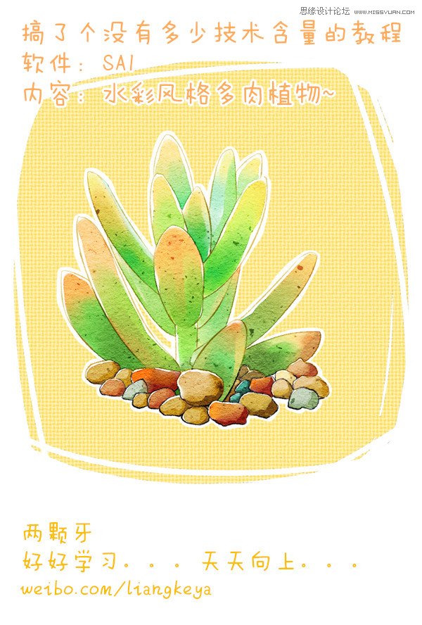 SAI�L��ˮ���L(f��ng)���ֲ��̳�