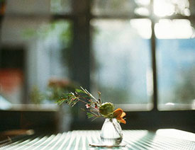 Ԕ��(x��)�����������zƬ�zӰ��Ʒ���p