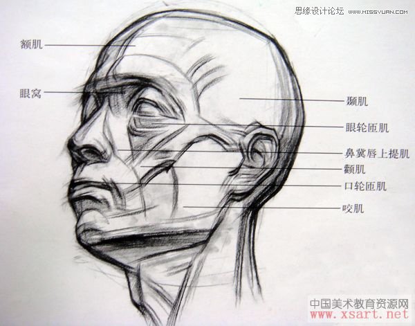 手把手教你從零基礎(chǔ)開始學(xué)繪畫和素描