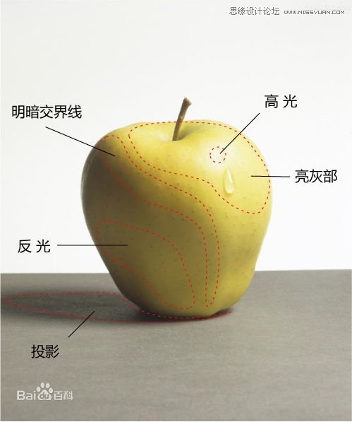 手把手教你從零基礎(chǔ)開始學(xué)繪畫和素描