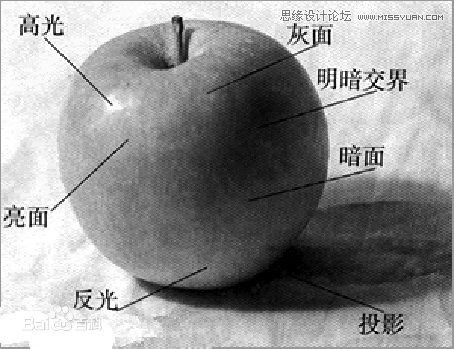 手把手教你從零基礎(chǔ)開始學(xué)繪畫和素描