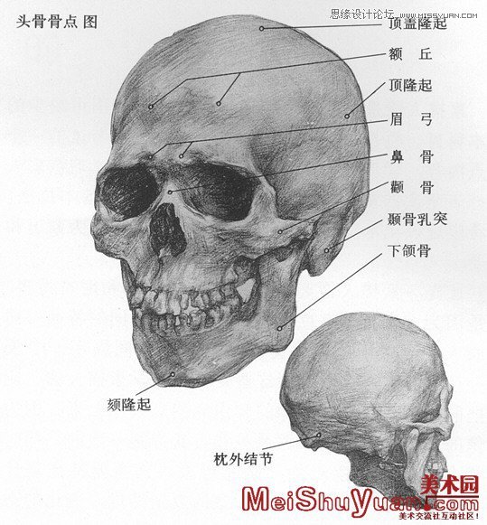 手把手教你從零基礎(chǔ)開始學(xué)繪畫和素描