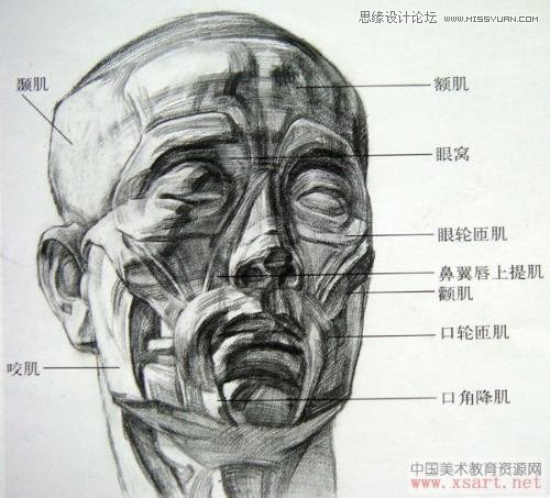 手把手教你從零基礎(chǔ)開始學(xué)繪畫和素描