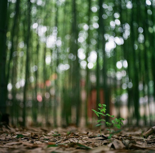 Ԕ�������������zƬ�zӰ��Ʒ���p