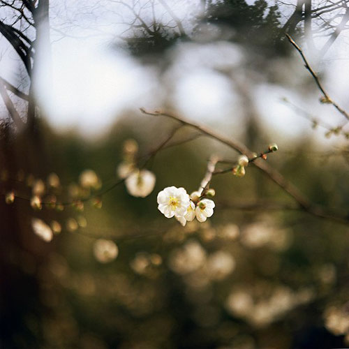 Ԕ�������������zƬ�zӰ��Ʒ���p