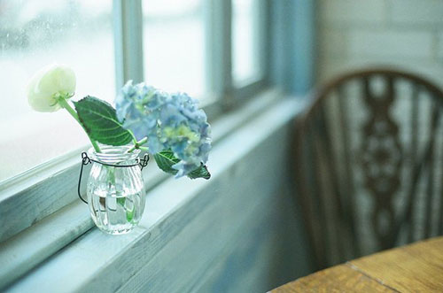 Ԕ�������������zƬ�zӰ��Ʒ���p